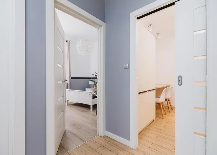 Dajwór 20 - Dzielnica żydowska Cracovia